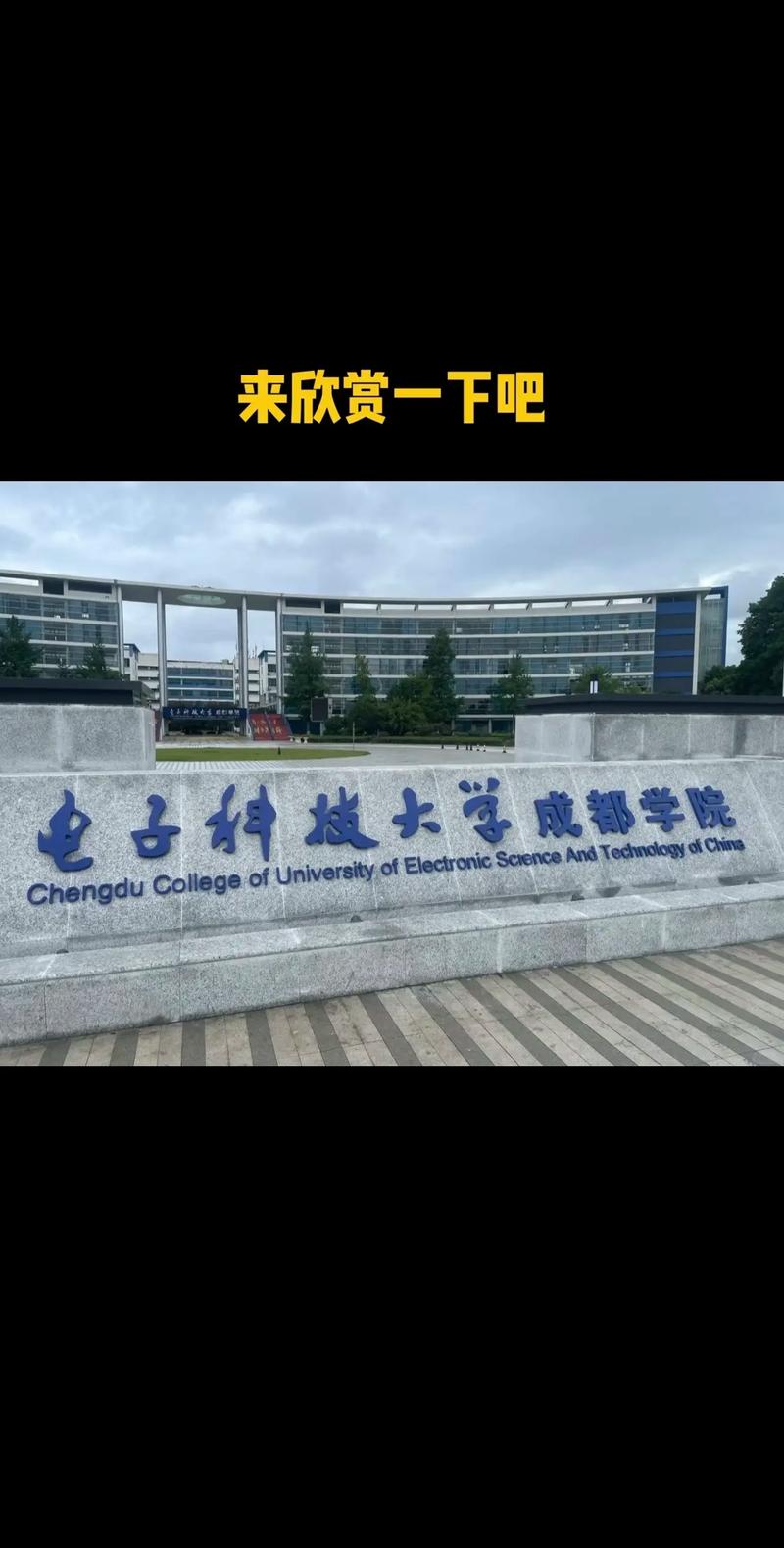 雪落成信，活力文采 電子科技大學成都學院的冬日答案